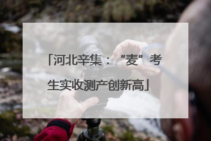 河北辛集：“麦”考生实收测产创新高