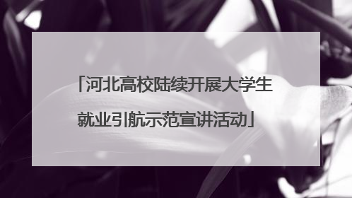 河北高校陆续开展大学生就业引航示范宣讲活动