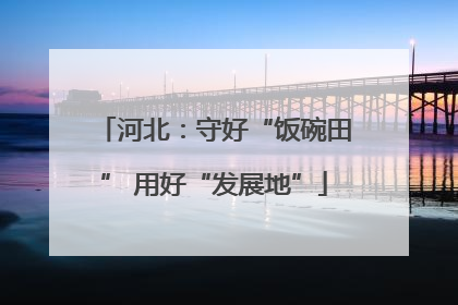 河北：守好“饭碗田” 用好“发展地”