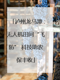 泸州龙马潭：无人机田间“飞防” 科技助农保丰收