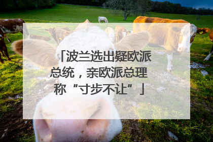 波兰选出疑欧派总统，亲欧派总理称“寸步不让”