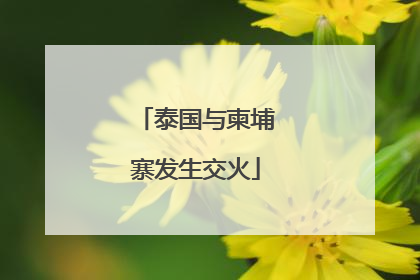 泰国与柬埔寨发生交火