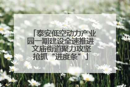 泰安低空动力产业园一期建设全速推进 文庙街道聚力攻坚抢抓“进度条”