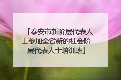 泰安市新阶层代表人士参加全省新的社会阶层代表人士培训班
