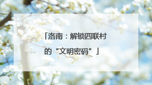 洛南：解锁四联村的“文明密码”