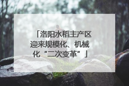 洛阳水稻主产区迎来规模化、机械化“二次变革”