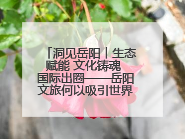 洞见岳阳丨生态赋能 文化铸魂 国际出圈——岳阳文旅何以吸引世界目光？