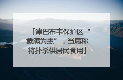 津巴布韦保护区“象满为患”，当局称将扑杀供居民食用