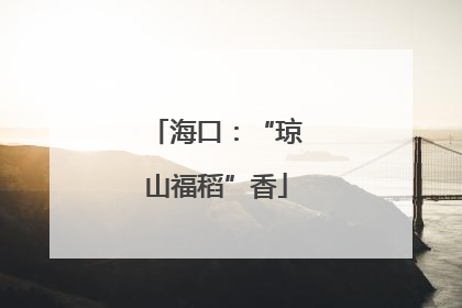 海口：“琼山福稻”香