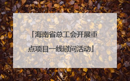海南省总工会开展重点项目一线慰问活动