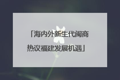 海内外新生代闽商热议福建发展机遇