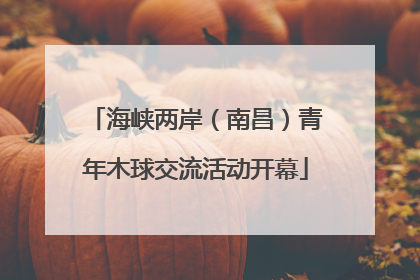海峡两岸（南昌）青年木球交流活动开幕