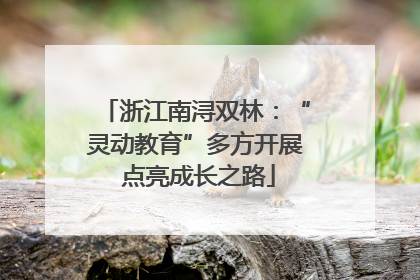 浙江南浔双林：“灵动教育”多方开展 点亮成长之路
