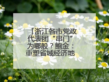 浙江各市党政代表团“串门”为哪般？鲍金：重塑省域经济地理的破题之道
