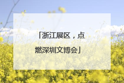 浙江展区，点燃深圳文博会