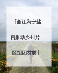 浙江海宁盐官推动乡村片区组团发展