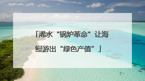 浠水“锅炉革命”让海鳗游出“绿色产值”