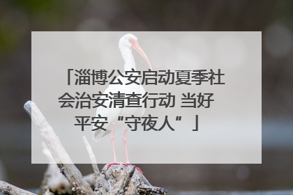 淄博公安启动夏季社会治安清查行动 当好平安“守夜人”