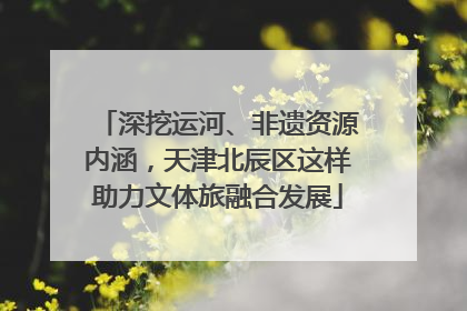 深挖运河、非遗资源内涵，天津北辰区这样助力文体旅融合发展