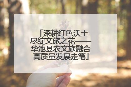 深耕红色沃土 尽绽文旅之花——华池县农文旅融合高质量发展走笔