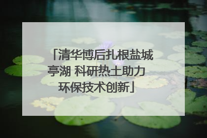 清华博后扎根盐城亭湖 科研热土助力环保技术创新
