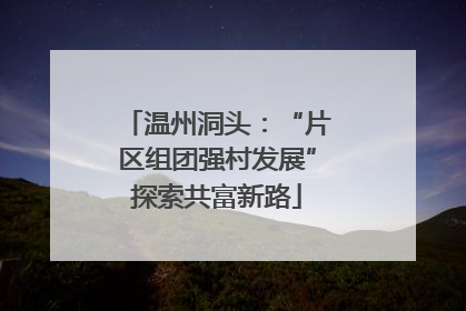 温州洞头：“片区组团强村发展”探索共富新路