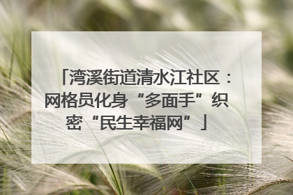 湾溪街道清水江社区：网格员化身“多面手”织密“民生幸福网”