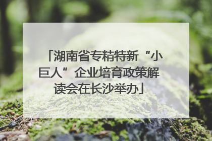 湖南省专精特新“小巨人”企业培育政策解读会在长沙举办