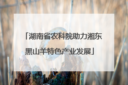 湖南省农科院助力湘东黑山羊特色产业发展