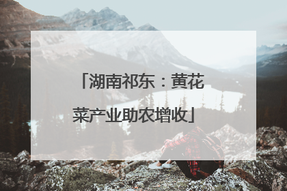 湖南祁东：黄花菜产业助农增收