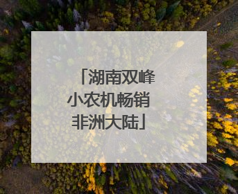 湖南双峰小农机畅销非洲大陆