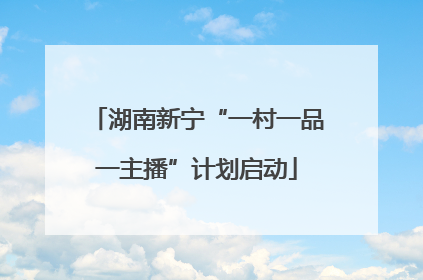 湖南新宁“一村一品一主播”计划启动