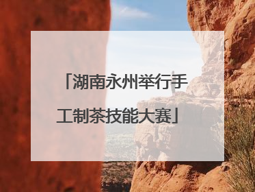 湖南永州举行手工制茶技能大赛