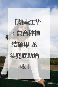 湖南江华：复合种植结硕果 龙头兜底助增收