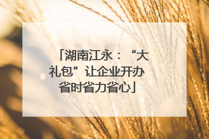 湖南江永：“大礼包”让企业开办省时省力省心