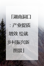 湖南洞口：产业提质增效 绘就乡村振兴新图景