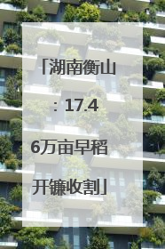 湖南衡山：17.46万亩早稻开镰收割