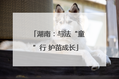湖南：与法“童”行 护苗成长
