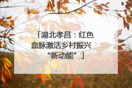湖北孝昌：红色血脉激活乡村振兴“新动能”