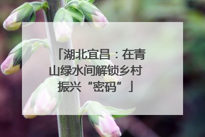 湖北宜昌：在青山绿水间解锁乡村振兴“密码”