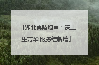 湖北夷陵烟草：沃土生芳华 服务绽新篇