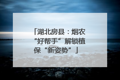 湖北房县：烟农“好帮手”解锁植保“新姿势”