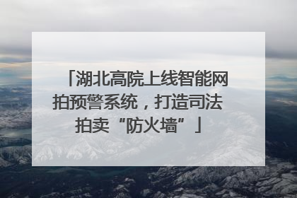 湖北高院上线智能网拍预警系统，打造司法拍卖“防火墙”