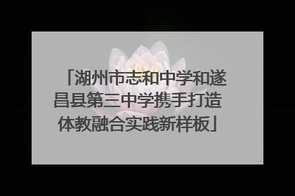 湖州市志和中学和遂昌县第三中学携手打造体教融合实践新样板