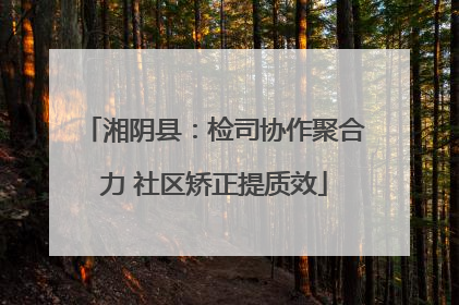 湘阴县：检司协作聚合力 社区矫正提质效