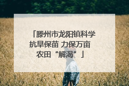 滕州市龙阳镇科学抗旱保苗 力保万亩农田“解渴”