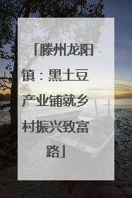 滕州龙阳镇：黑土豆产业铺就乡村振兴致富路