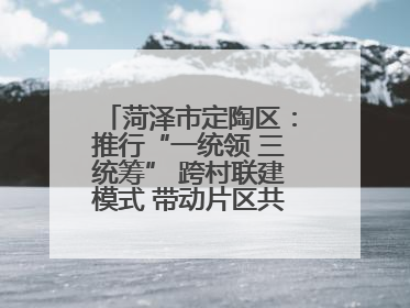菏泽市定陶区：推行“一统领 三统筹” 跨村联建模式 带动片区共同富裕