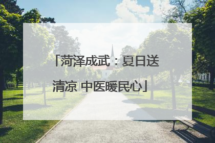 菏泽成武：夏日送清凉 中医暖民心