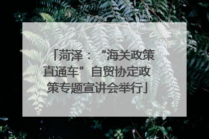 菏泽：“海关政策直通车”自贸协定政策专题宣讲会举行